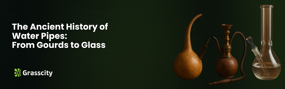 The Ancient History of Water Pipes: From Gourds to Glass